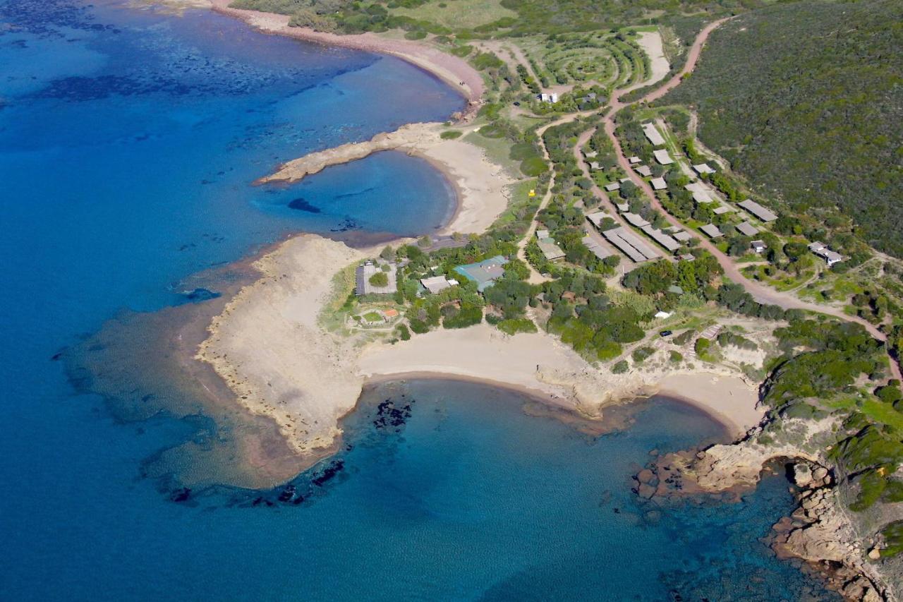 Casa Vacanze Nonna Nunzia Villa บอซา ภายนอก รูปภาพ